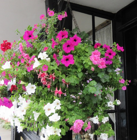 Floral hanging basket